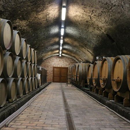 Villa Tolnay Vendeghaz Gyulakeszi Экстерьер фото